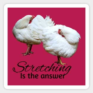 Hens stretching Magnet